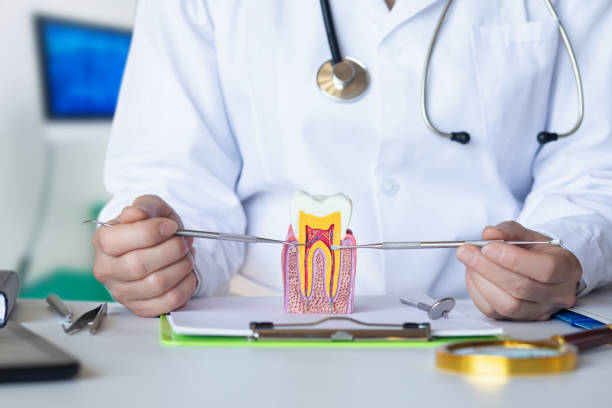 Best Emergency Tooth Extraction in Algonquin, IL